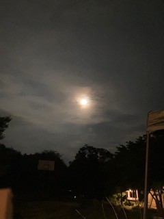 IMG_0007683.JPG