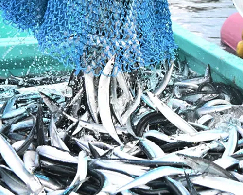 Sanma_02.jpg