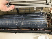 IMG_7460.jpeg