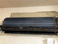IMG_7464.jpeg