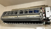 IMG_7465.jpeg