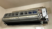 IMG_7466.jpeg