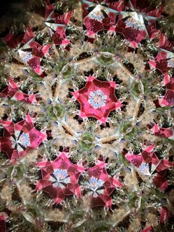 IMG_7481.JPG