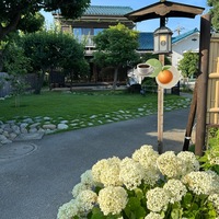 IMG_5174.jpeg