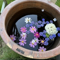 IMG_5175.jpeg