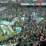 IMG_5188.jpeg